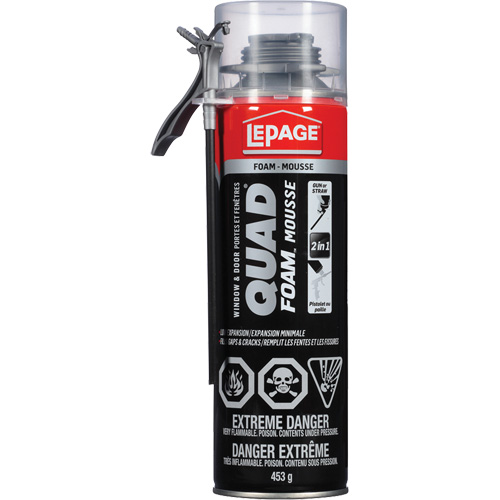 Quad&reg; Foam Window & Door Installation Foam, Aerosol Can, Tan The Estey Group