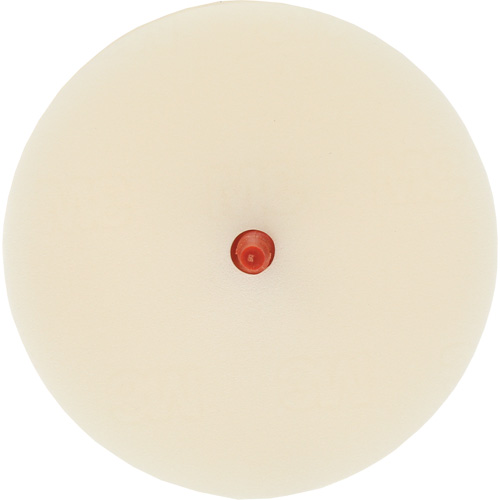 Scotch-Brite Moulding Adhesive & Stripe Removal Disc, 7501, 4" Dia. The Estey Group