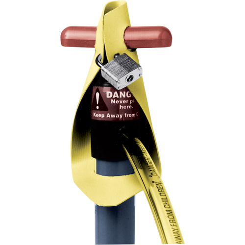 Strap Locks The Estey Group