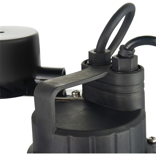 Pompe de puisard submersible thermoplastique, 2560 gal./h, 115 V, 4,6 A, 1/3 CV The Estey Group