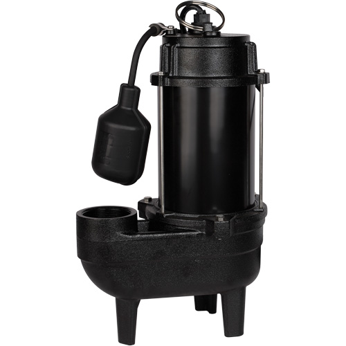 Cast Iron Sewage Pump, 120 V, 9.5 A, 6000 GPH, 1/2 HP The Estey Group
