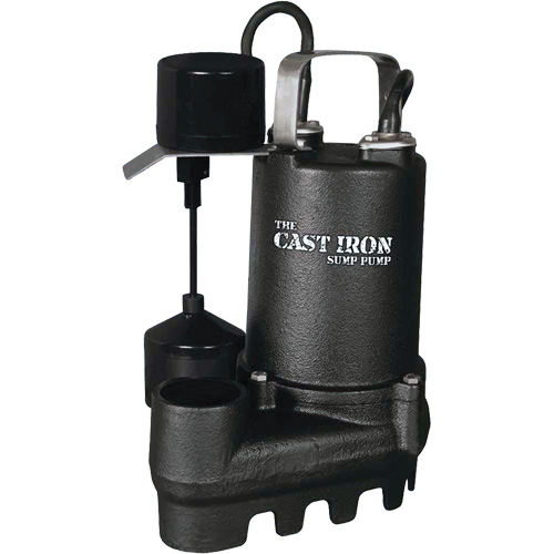 Pompe de puisard submersible en fonte avec interrupteur &agrave; flotteur vertical, 67 gal./min, 33 V, 5 A, 1/3 CV The Estey Group