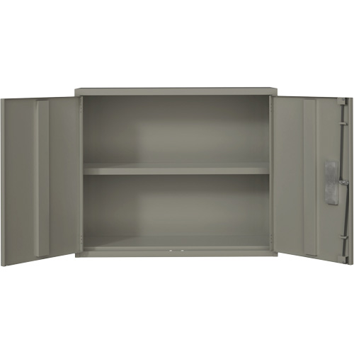 Wall Mounted Cabinet, Steel, 2 Shelves, 30" H x 36" W x 12" D, Grey The Estey Group