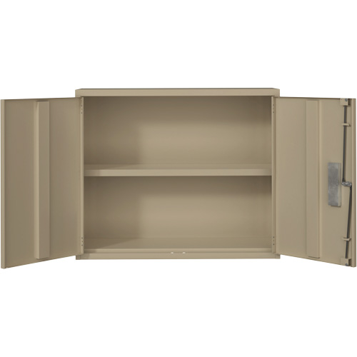 Wall Mounted Cabinet, Steel, 2 Shelves, 30" H x 36" W x 12" D, Beige The Estey Group