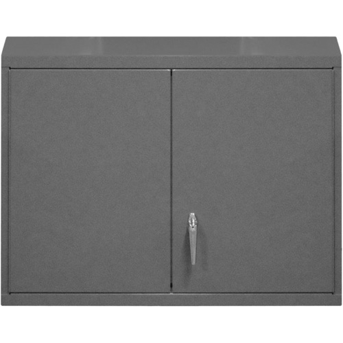 Wall-Mounted Cabinet, 27" H x 29-7/8" W x 13-11/16" D, 2 Shelves, Steel, Grey The Estey Group