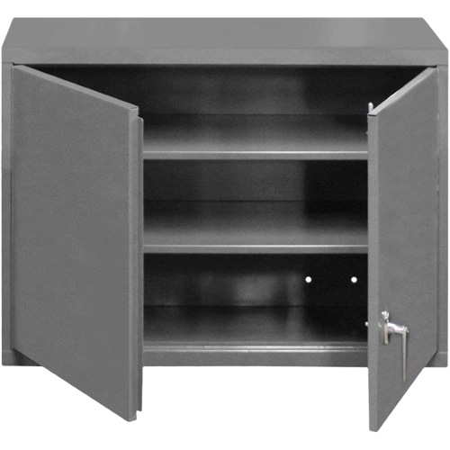 Wall-Mounted Cabinet, 27" H x 29-7/8" W x 13-11/16" D, 2 Shelves, Steel, Grey The Estey Group
