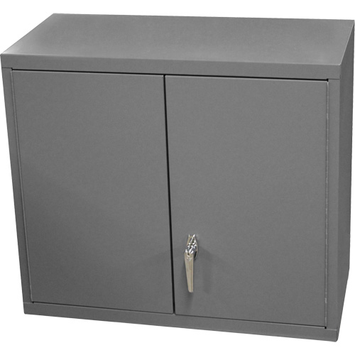 Wall-Mounted Cabinet, 27" H x 13-11/16" W x 35-7/8" D, 2 Shelves, Steel, Grey The Estey Group