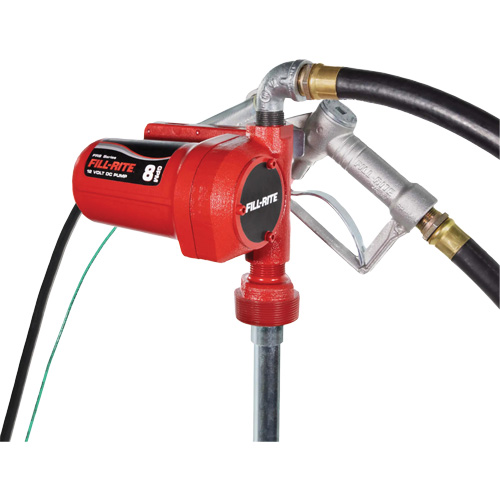 Pompe de transfert de carburant 12 V CC avec pistolet The Estey Group