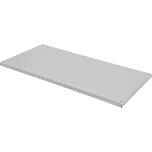Replacement Shelf for Knocked Down Cabinet, 30" x 15", 100 lbs. Capacity, Steel, Grey The Estey Group