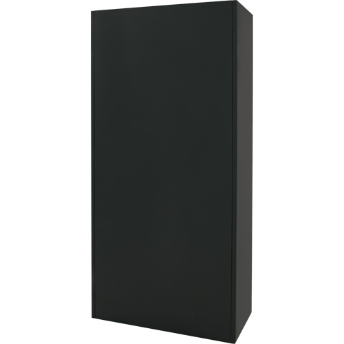 Hi-Boy Storage Cabinet, Steel, 4 Shelves, 72" H x 36" W x 18" D, Black The Estey Group