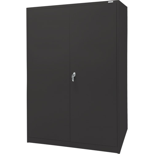 Storage Cabinet, Steel, 4 Shelves, 78" H x 48" W x 24" D, Black The Estey Group