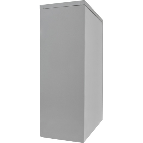Armoire de rangement &agrave; hauteur de comptoir, Acier, 2 Tablettes, 42" h x 48" la x 24" P, Gris The Estey Group