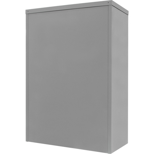 Armoire de rangement &agrave; hauteur de comptoir, Acier, 2 Tablettes, 42" h x 48" la x 24" P, Gris The Estey Group