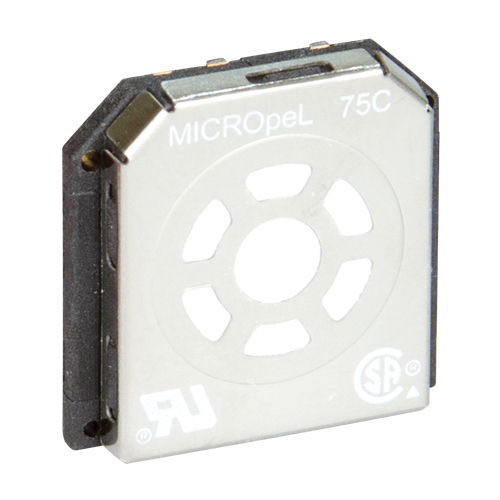BW Replacement Sensors The Estey Group
