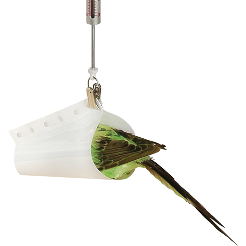 Accessoire pour balance &agrave; ressort Micro - entonnoir &agrave; peser les oiseaux  The Estey Group