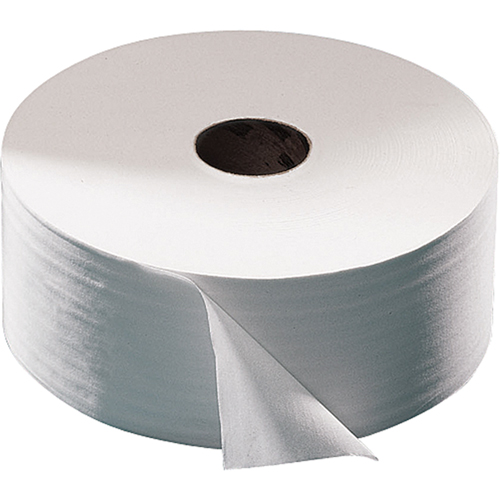 Papier hygi&eacute;nique Advanced, Rouleau G&eacute;ant, 2 Pli, Longueur 751', Blanc The Estey Group