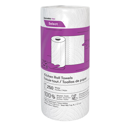 Pro Select Kitchen Towel Roll, 2 Ply, 250 Sheets/Roll, 8" W, 11" L The Estey Group