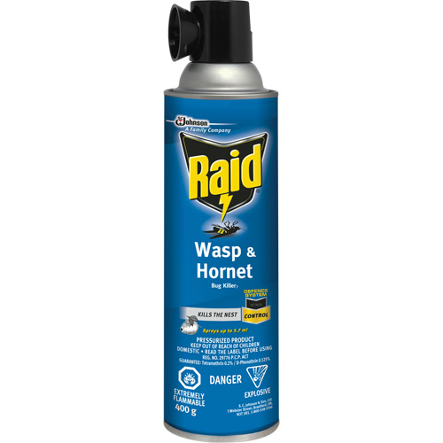 Insecticide contre les gu&ecirc;pes et les frelons Raid, 400 g, &agrave; base de solvant The Estey Group