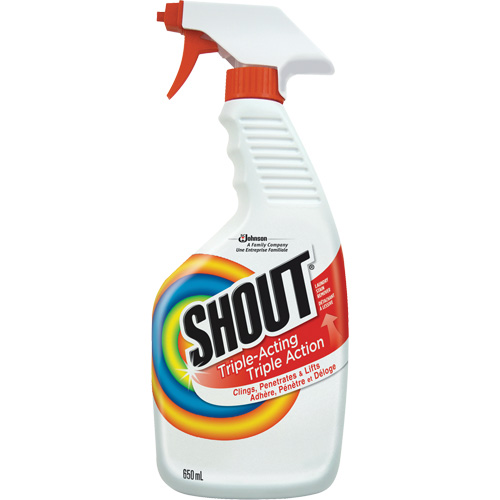 Shout&reg; Laundry Stain Remover The Estey Group