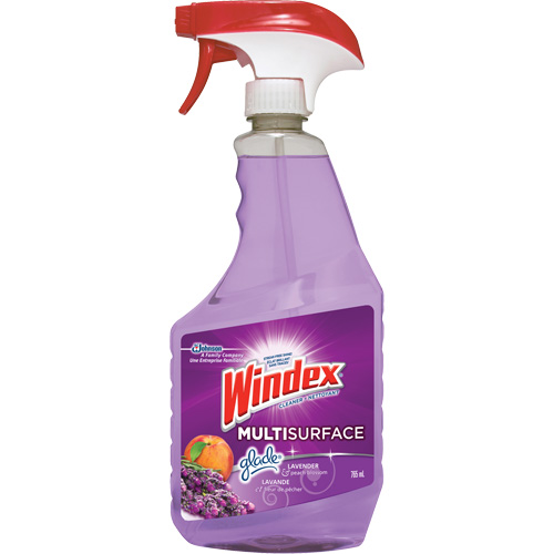 Nettoyant multi-surfaces de Windex, 765 ml, Bouteille &agrave; g&acirc;chette The Estey Group
