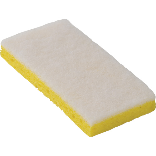 745W Light-Duty Scouring Sponges, 6-1/4" L x 3-1/5" W The Estey Group