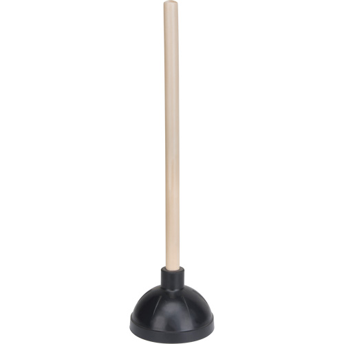 Heavy-Duty Plunger The Estey Group