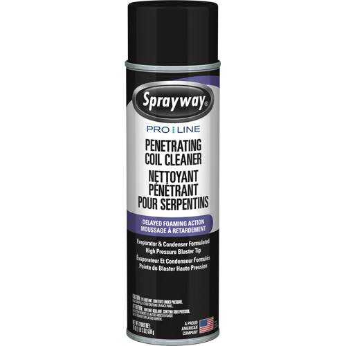 Nettoyant p&eacute;n&eacute;trant pour bobines Pro Line &agrave; action moussante diff&eacute;r&eacute;e, 19 oz., Canette a&eacute;rosol The Estey Group
