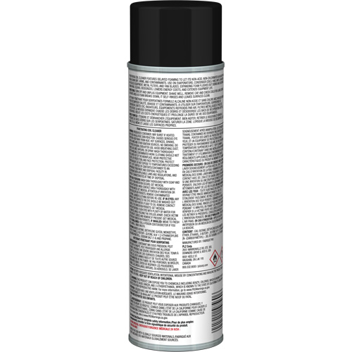 Nettoyant p&eacute;n&eacute;trant pour bobines Pro Line &agrave; action moussante diff&eacute;r&eacute;e, 19 oz., Canette a&eacute;rosol The Estey Group