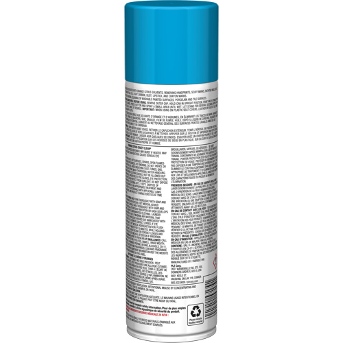 Pro Line Crazy Clean&reg; All Purpose Cleaner, 19 oz., Aerosol Can The Estey Group