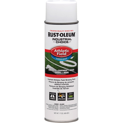 Peinture pour traçage de ligne pour terrain de gymnastique Industrial Choice AF1600, Blanc, 17 oz, Canette a&eacute;rosol The Estey Group