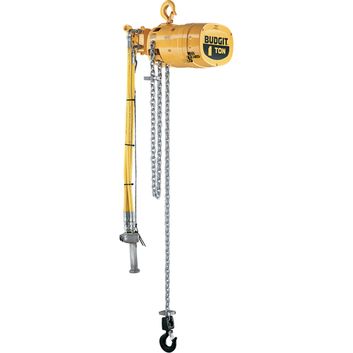 Budgit&reg; Series 6000 Air Hoists The Estey Group