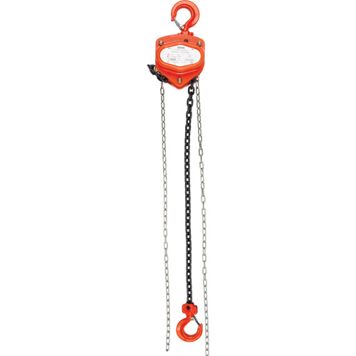 Chain Hoist, 20' Lift, 1000 lbs. (0.45 tons) Capacity, Alloy Steel Chain The Estey Group
