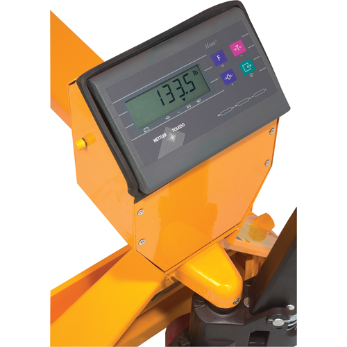 Digital Scale Pallet Truck, 47.5" L x 22" W, 5000 lbs. Cap. The Estey Group