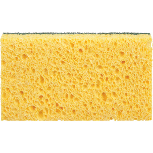 Utility Sponges, Cellulose, 6" W x 3-1/2" L The Estey Group