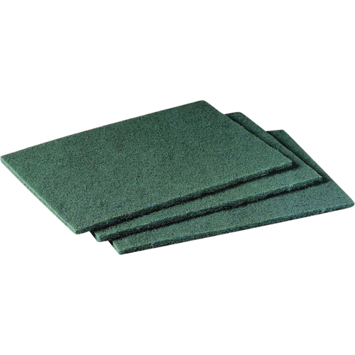 Tampons manuels Scotch-Brite, 9" lo x 6" la The Estey Group