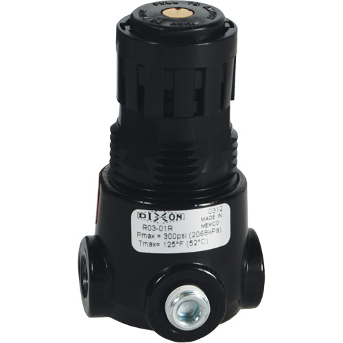 Wilkerson Miniature Regulator R03, 1/8" NPT, 300 psi Max. PSI, Standard The Estey Group