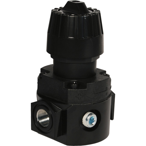 R&eacute;gulateur compact R16 Wilkerson, 1/4" NPT, PSI max. de 300 psi, Standard The Estey Group