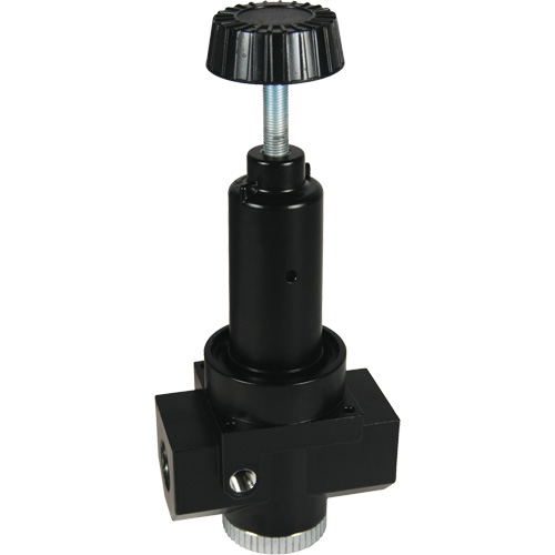 R&eacute;gulateur &agrave; d&eacute;bit &eacute;lev&eacute; R30 Wilkerson, 3/4" NPT, PSI max. de 300 psi, Standard The Estey Group