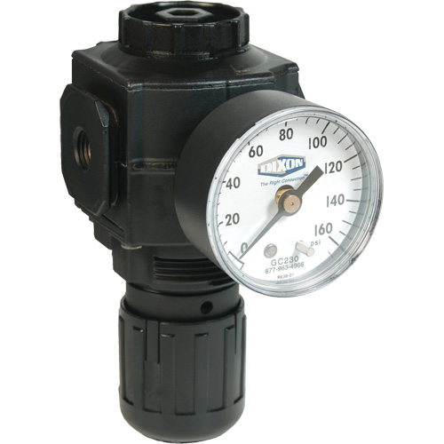Series 1 Compact Regulator, 1/2" NPT, 150 PSI Max. PSI, Standard The Estey Group
