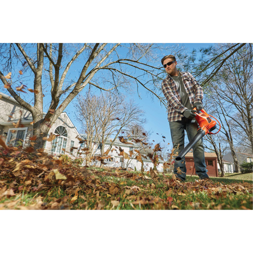 3-in-1 VacPack Leaf Blower/Vacuum/Mulcher, 250 MPH Output, Electric The Estey Group