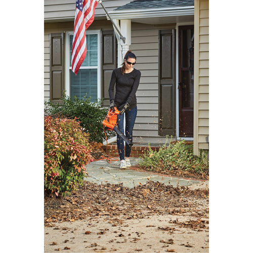 3-in-1 VacPack Leaf Blower/Vacuum/Mulcher, 250 MPH Output, Electric The Estey Group