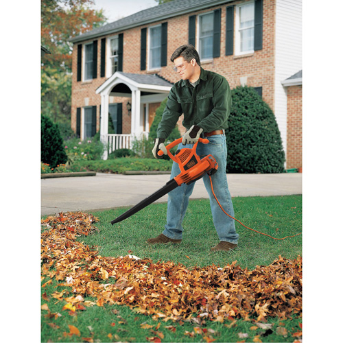 Leaf Blower/Vacuum/Mulcher, 210 MPH Output, Electric The Estey Group