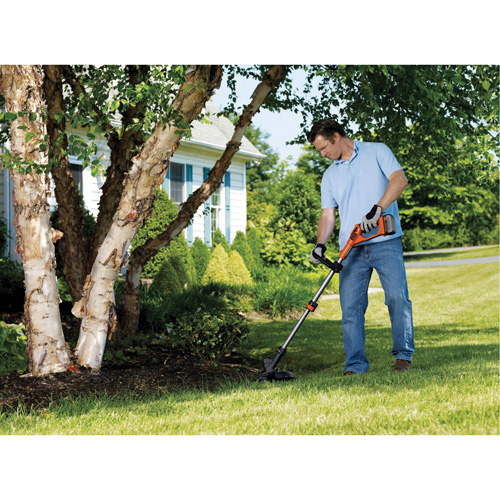 Trousse de coupe-bordure sans fil Max*, 13", &agrave; pile, 40 V The Estey Group