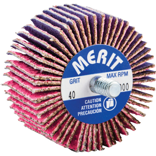Threaded Mini Flap Wheel, Ceramic Alumina, 40 Grit, 2" x 1" x 1/4"-20 The Estey Group