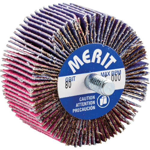 Threaded Mini Flap Wheel, Ceramic Alumina, 80 Grit, 2" x 1" x 1/4"-20 The Estey Group