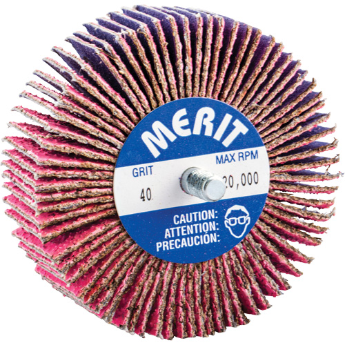 Mini-meule &agrave; lamelles filet&eacute;es, C&eacute;ramique d'alumine, Grain 40, 3" x 1" x 1/4"-20 The Estey Group