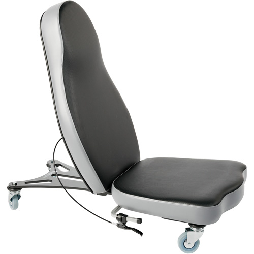 Flex 2 Ergonomic Chair, Vinyl, Black The Estey Group