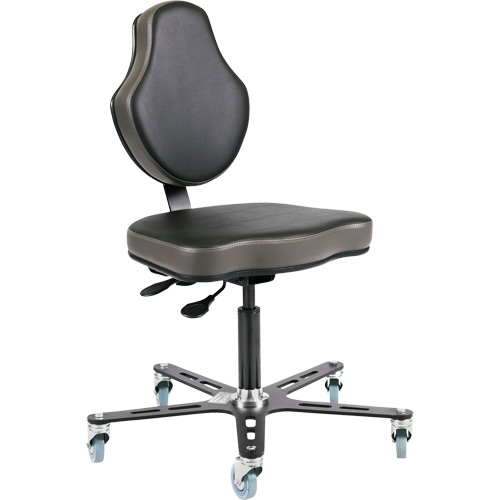 Vega Multi-Tilt Ergonomic Chair, Mobile, Adjustable Height The Estey Group