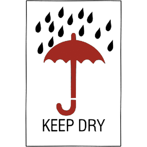 "Keep Dry" Special Handling Labels, 6" L x 4" W, Red on White The Estey Group