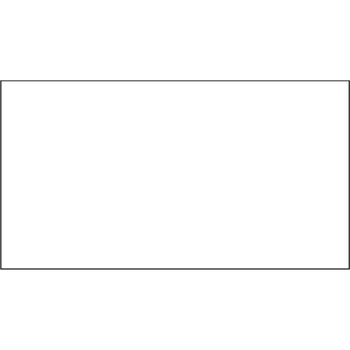 Packing List Envelopes, 4" L x 5" W, Endloading Style The Estey Group